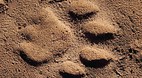 Kruger National Park