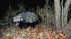 Kruger National Park