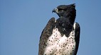 Kruger National Park