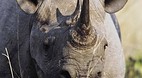 Kruger National Park