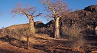 Kruger National Park
