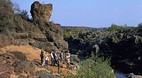 Kruger National Park