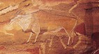 KwaZulu-Natal