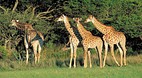 KwaZulu-Natal