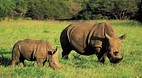 KwaZulu-Natal