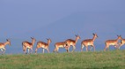 KwaZulu-Natal