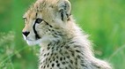 KwaZulu-Natal