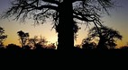 Limpopo
