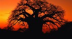 Limpopo
