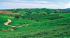 Limpopo