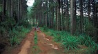 Limpopo