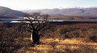 Limpopo