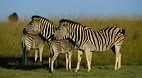 KwaZulu-Natal
