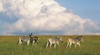 KwaZulu-Natal