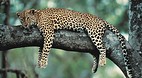 Mpumalanga