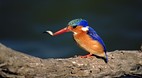 Mpumalanga