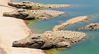 Limpopo