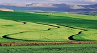 Western Cape