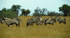 Pilanesberg National..