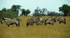 Pilanesberg National Park