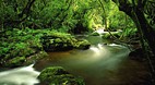 Mpumalanga