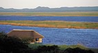 KwaZulu-Natal