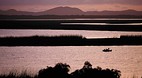KwaZulu-Natal