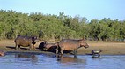 KwaZulu-Natal