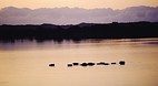 KwaZulu-Natal