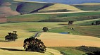 Western Cape
