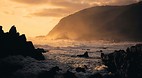 Wild Coast