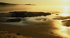 Wild Coast
