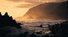 Wild Coast