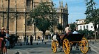 Seville Cathedral