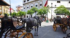 Seville