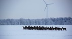 Scania (Skåne)