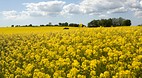 Scania (Skåne)