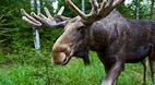 Småland