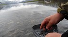Swedish Lapland