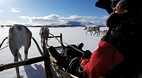 Swedish Lapland