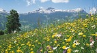 Grindelwald