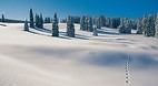 Lake Geneva Region