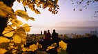 Lavaux