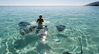 Moorea