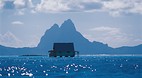 Tahaa