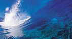 Tahiti