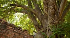 Ayutthaya