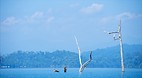 Cheow Larn lake