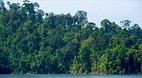 Cheow Larn lake