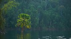 Cheow Larn lake